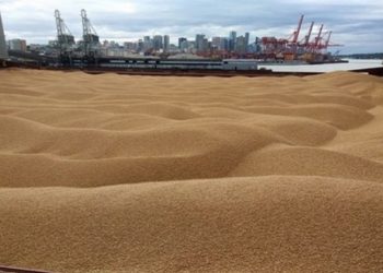 Турция не видит необходимости разминирования Черного моря для вывоза зерна
