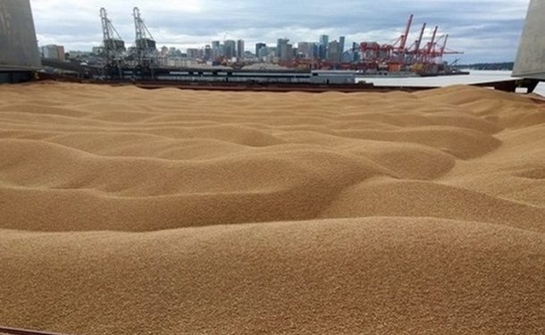 Турция не видит необходимости разминирования Черного моря для вывоза зерна