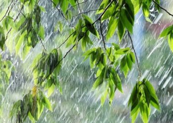 Синоптики рассказали, когда в Молдове пройдут дожди