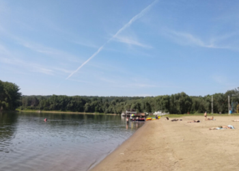 В Вадул-луй-Водах обнаружили холерный вибрион