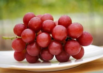 В Японии гроздь винограда продали за 10,7 тысячи долларов