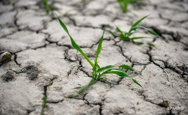 В Еврокомиссии заявили, что засуха грозит почти половине территории ЕС