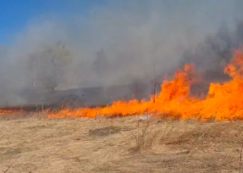 Codul Galben de pericol de incendiu a fost prelungit până la 5 august