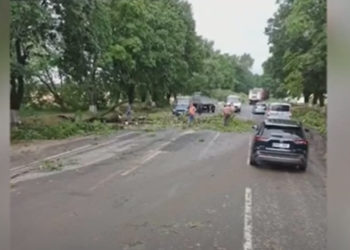 Дождь, сильный ветер и град нанесли серьезный урон  Бричанскому и Единецкому районам | VIDEO