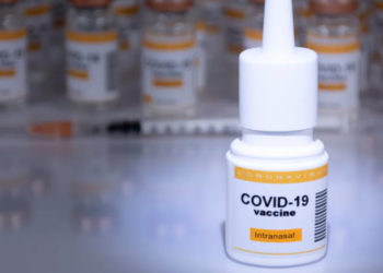 ВОЗ призвала разработать новые вакцины от COVID-19 в виде назального спрея