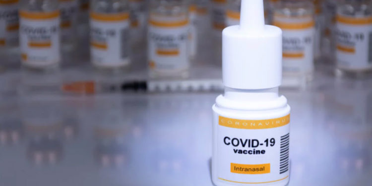 ВОЗ призвала разработать новые вакцины от COVID-19 в виде назального спрея