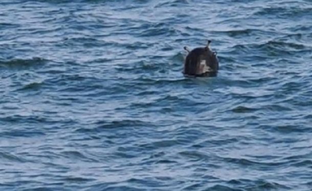 Двое полицейских подорвались на морской мине в Николаевской области