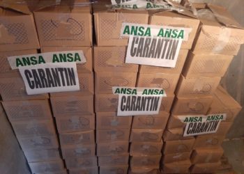 „Salmonella Enteritidis” depistată în 300 de kilograme de „pelmeni cu carne de pui”