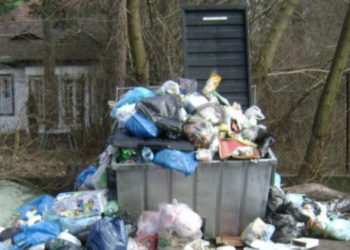 Переполненные баки и пакеты на деревьях. В Дурлештах мусор не вывозится уже неделю | VIDEO