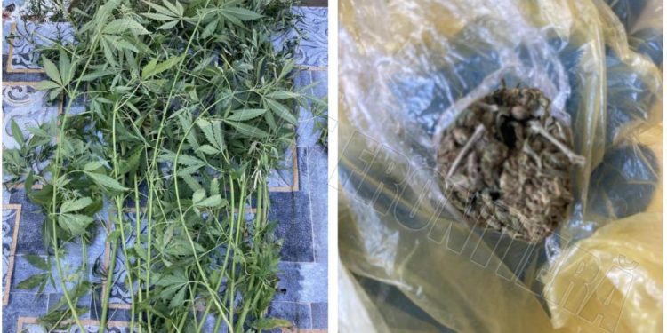 Droguri și arme, depistate pe mai multe adrese dintr-o localitate din zona de frontieră | VIDEO