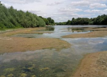 Гидрологическое предупреждение в связи с низкой водностью продлено до 5 августа
