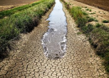 Râurile din Republica Moldova, puternic afectate de secetă. Reprezentant al Serviciului Hidrometeorologic: Unele din ele au secat în totalitate | VIDEO