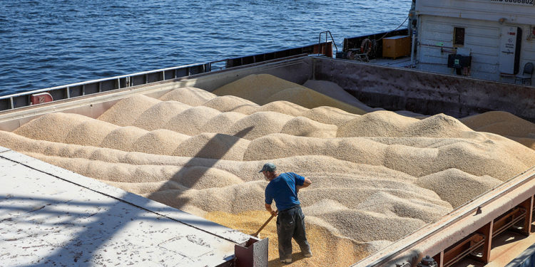 В Турции допустили начало вывоза украинского зерна с 1 августа