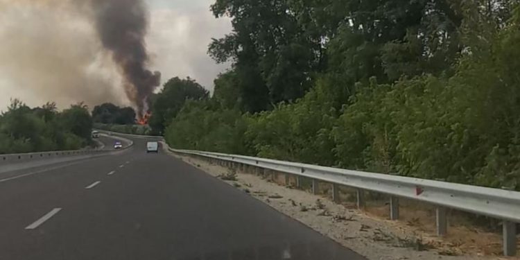 Incendiu de vegetație lângă Ghidighici: Flăcările și fumul dens puteau fi văzute de la sute de metri distanță