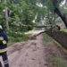 Ploile cu grindină şi vântul puternic au făcut ravagii în nordul ţării: Drumuri blocate și zeci de copaci, doborâți la pământ