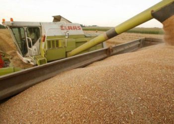 Rusia și Ucraina vor semna vineri un acord privind exporturile de cereale, anunță Turcia