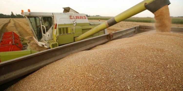 Rusia și Ucraina vor semna vineri un acord privind exporturile de cereale, anunță Turcia