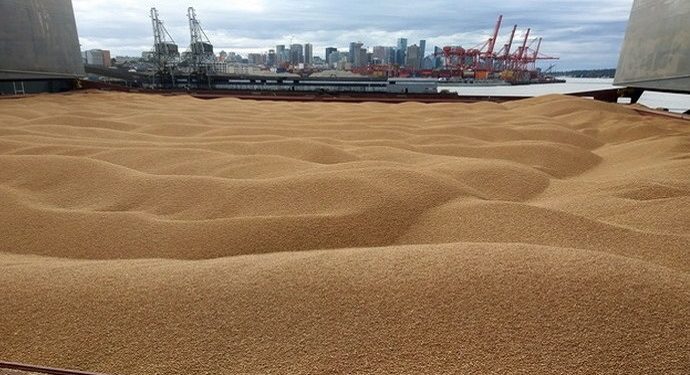 Университет Минобороны Турции решил контролировать вывоз зерна из Украины