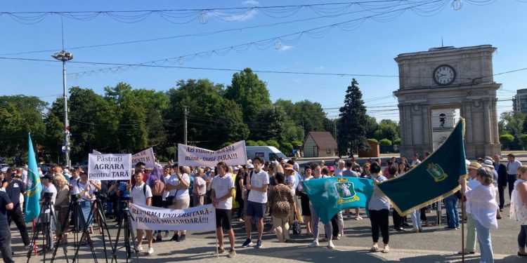 Правительство рассмотрит проект слияния университетов на фоне протеста