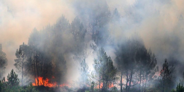 Mii de turiști evacuați în sud-vestul Franței din cauza incendiilor. Nor gros de fum deasupra celei mai mari dune de nisip din Europa