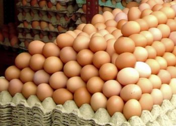 „Sunt nevoit să cumpăr ouă sparte că-s mai ieftine”. Chișinăuienii cu greu față scumpirilor la ouă din ultimele săptămâni și spun că ar putea renunța să le mai procure | VIDEO