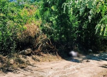 A tamponat mortal un pieton, la Rezina, apoi a fugit! Poliția a găsit șoferul