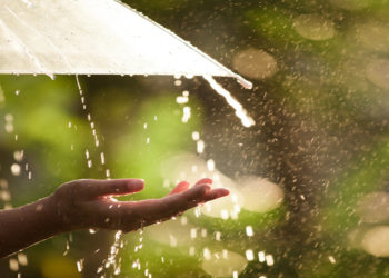 După săptămâni întregi de arșiță, plouă în centrul și sudul țării. Experții afirmă că precipitațiile însă sunt prea slabe pentru a remedia situația | VIDEO