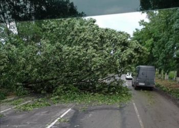 Acoperișuri smulse, copaci doborâți și localități lăsate în beznă. Consecințele ploii cu grindină și rafalelor de vânt în nordul țării | VIDEO