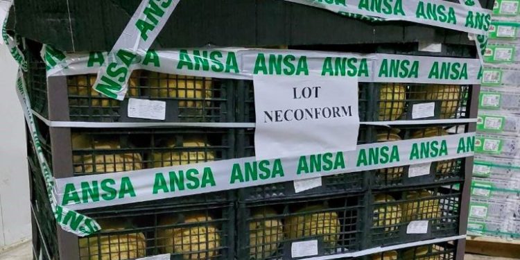 Două tone de pepene galben, scos din comerț de ANSA! Ce nereguli au fost depistate