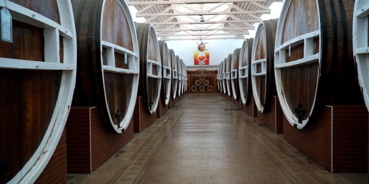 Decis de Parlament: Întreprinderea „Barza Albă” nu va putea fi privatizată