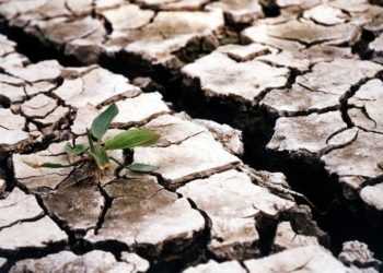 Canicula ar putea provoca deficit de apă. Ministerul Mediului propune deconectări programate de apă și vine cu un șir de recomandări | VIDEO