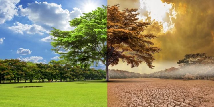 Planeta se înfierbântă mai repede decât pot oamenii calcula. Apocalipsa de căldură a scăpat de sub control