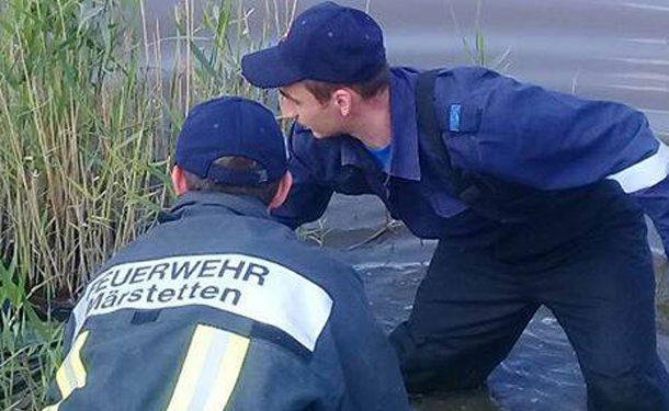 Cadavru găsit într-un iaz, la Sîngera