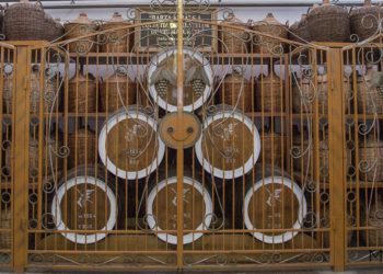 „Barza Albă” va deveni a treia întreprindere vinicolă inclusă în patrimoniul cultural național