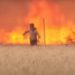 Imagini cu impact emoțional: Momentul în care un bărbat fuge cu hainele în flăcări, din calea incendiului din Spania
