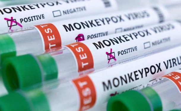 В двух странах заявили о смертях больных обезьяньей оспой