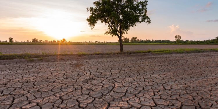 Еврокомиссия: засуха в Европе стала самой сильной за последние 500 лет