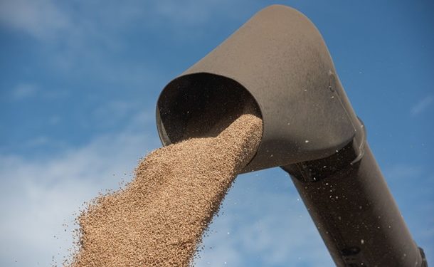 В Турции сообщили о старте вывоза зерна из Украины
