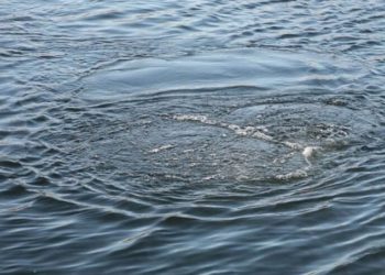 В одном из столичных озер утонул мужчина