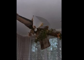 В Кишиневе ветка разрушила крышу жилого дома