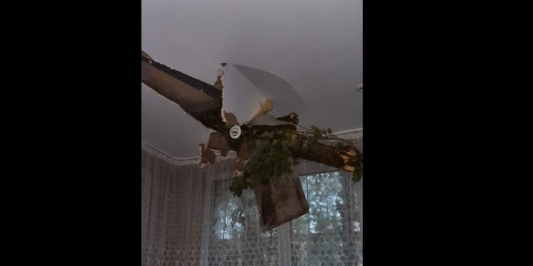 В Кишиневе ветка разрушила крышу жилого дома