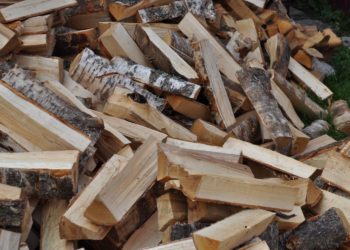 Министерство окружающей среды выделит 64,25 млн леев, чтобы предотвратить рост цен на дрова