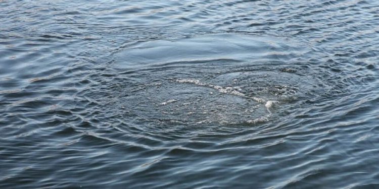 В одном из столичных озер утонул мужчина