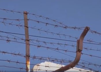 Fratele soției lui Igor Dodon rămâne în arest preventiv pentru încă 20 de zile în Penitenciarul nr. 13 |  VIDEO