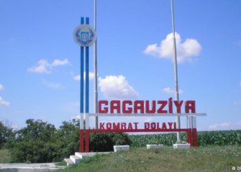 Власти Гагаузии напрямую обратятся в Россельхознадзор по поводу экспорта фруктов