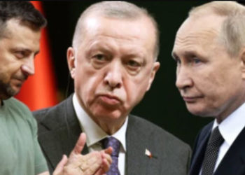 Цель Турции. Эрдоган стремится организовать встречу Зеленского и Путина