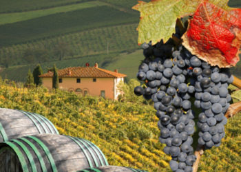 Festivalul Național al Strugurelui, anulat