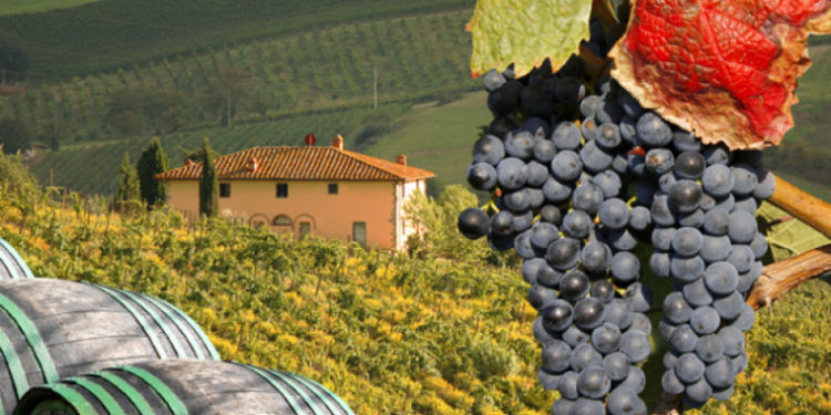 Festivalul Național al Strugurelui, anulat