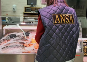 În atenția agenților economici: ANSA anunță noi măsuri în privința plasării pe piață a fructelor și legumelor de import | VIDEO