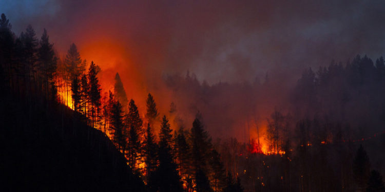 Un pensionar suspectat că a pornit două dintre incendiile majore de pe insula Thassos a fost arestat de autorități